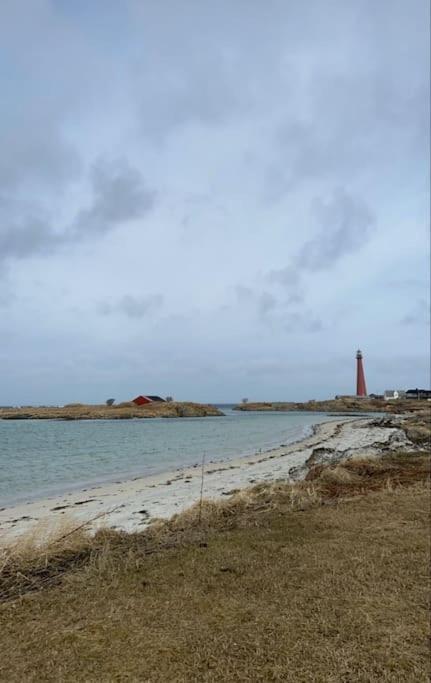 House In The Center Of Andenes Villa Exteriör bild